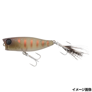 シマシマクリケット