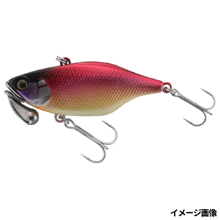 HS南湖春夏秋冬(柴田洋生プロ)