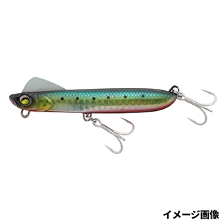 レッドベリーイワシ