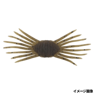 グリーンパンプキンペッパー