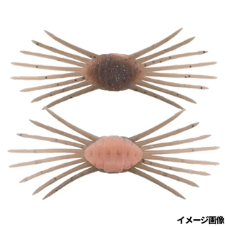 シナモン脱皮シュリンプ