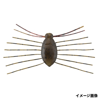 グリーンパンプキンペッパー