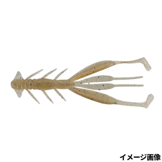 ガサガサスジエビ