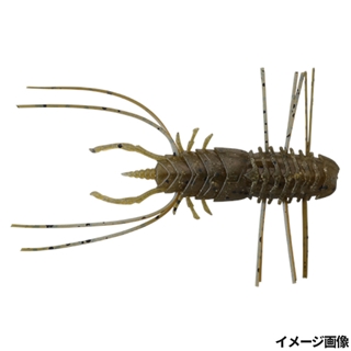 グリーンパンプキンペッパー