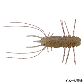 ガサガサスジエビ