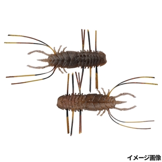 ガサガサテナガエビ