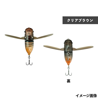 野尻春ゼミ(クリアブラウン)