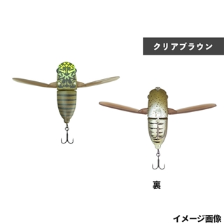 サイトアブラゼミ(クリアブラウン)