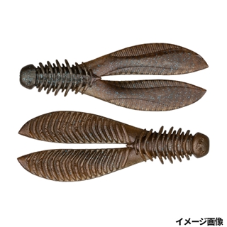 テナガシナモン