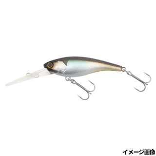 ヌメリワカサギ