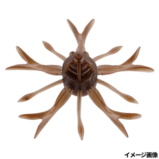 グリーンパンプキンペッパー