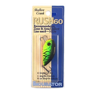 DUO インキュベーター ラッシュ60 ACC3059（マットタイガー