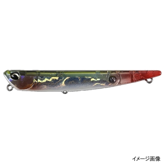 DDH0186(レッドテールカタクチ)