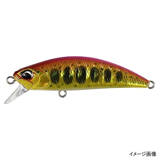 モモキンヤマメ