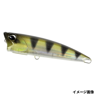 ゴーストアーチャーフィッシュ