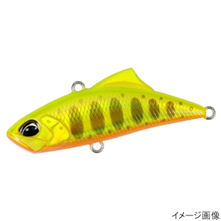 ゴールドヤマメ