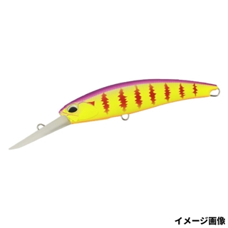 ファングパープルバックギル