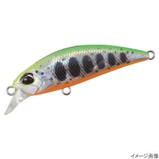 ライムチャートヤマメOB