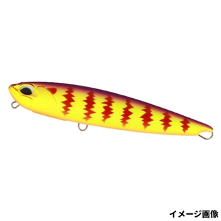 ファングパープルバックギル