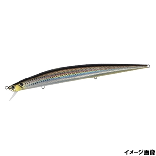 フラッシュコノシロ