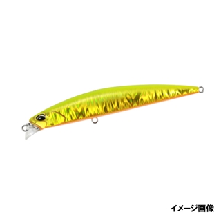 ヒラメゴールド