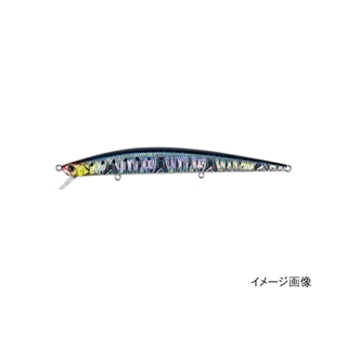 玄海イワシ
