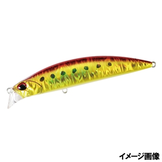 アカキンイワシ