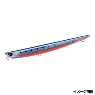 ウロコマズメイワシ