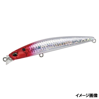 レッドヘッドコノシロ