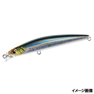 カタボシイワシ