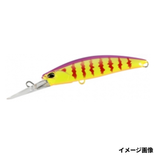 ファングパープルバックギル