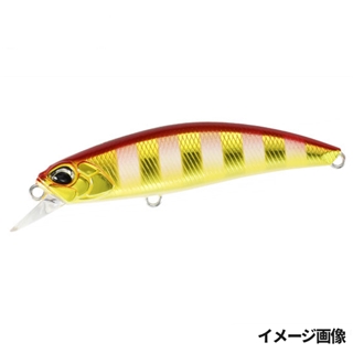 UVアカキンゼブラグロー