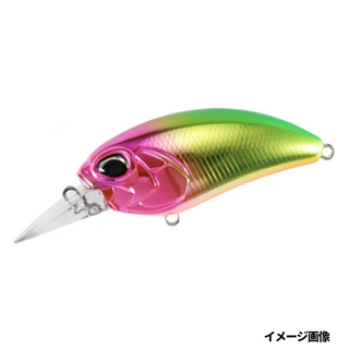 メッキフロリダ