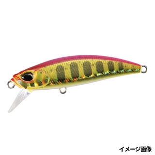 モモキンヤマメ