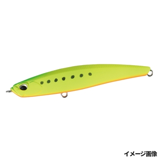 マットチャートイワシ