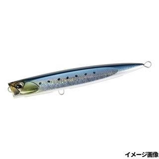 スケールマイワシ