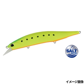 マットチャートイワシ