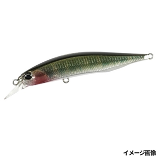 セクシーオイカワ