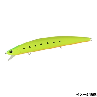 マットチャートイワシ