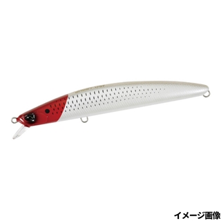 パールレッドヘッドコノシロ