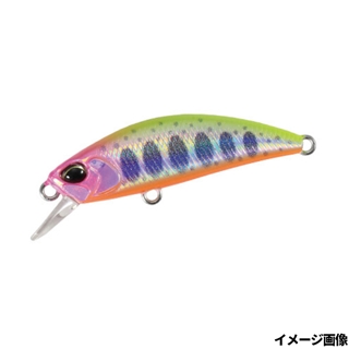 ピンククラウンヤマメ