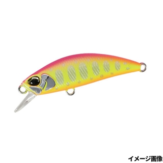 ピンクチャートヤマメ