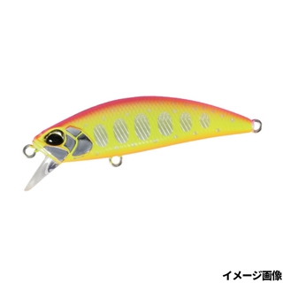 ピンクチャートヤマメ