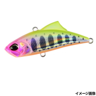 ピンククラウンヤマメ