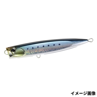 スケールマイワシ