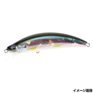 和加佐幾(わかさぎ)