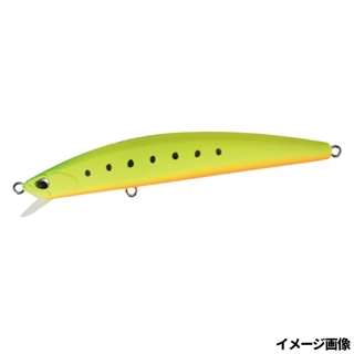 マットチャートイワシ