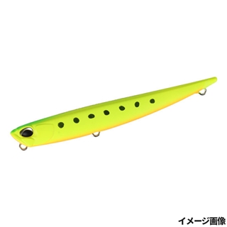 マットチャートイワシ