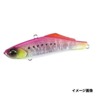 トロピカルイワシグロー