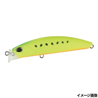 マットチャートイワシ